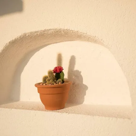 Apartment Rooftop *